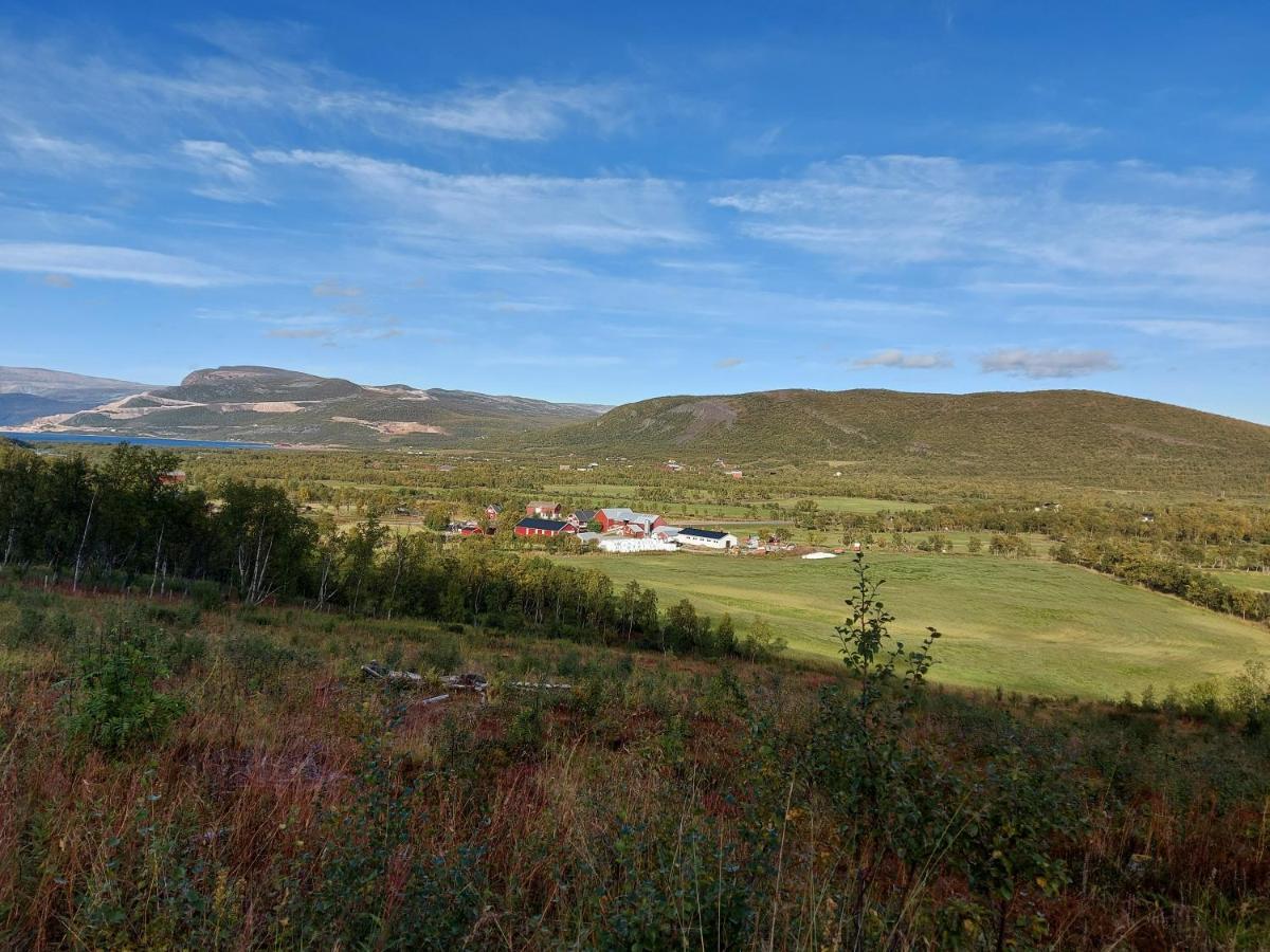 Austertanakrystallen By Pure Lifestyle Arctic Luaran gambar